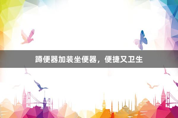 蹲便器加装坐便器，便捷又卫生